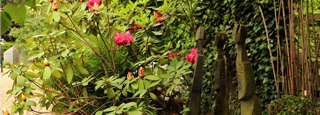 Le jardin d'ombre - Rhododendrons et sculptures