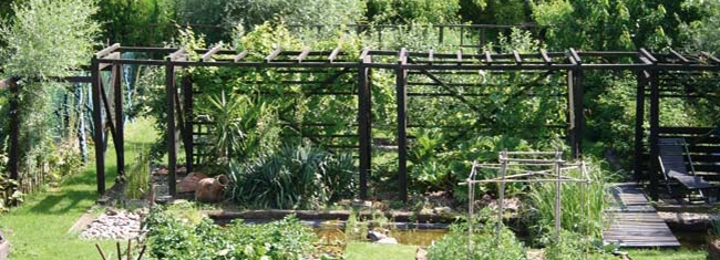 Vue plongeante sur le potager