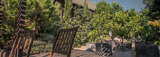 Le jardin méditérannéen