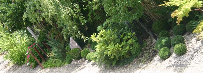 jardin-ombre-vue-plongeante