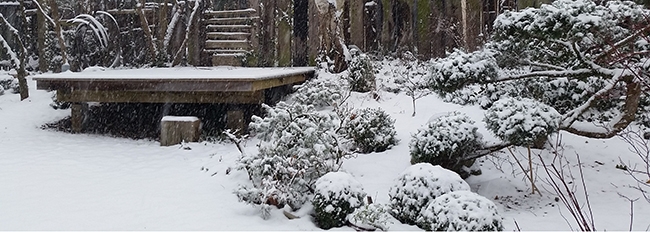 L'agora à travers les saisons : grosse neige