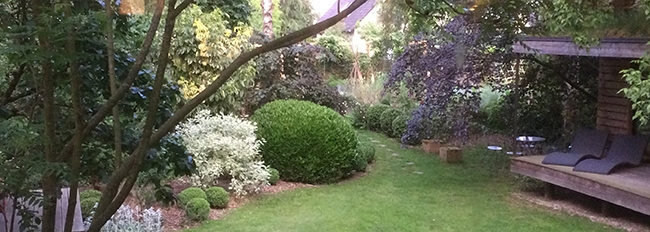 L'agora à travers les saisons : au printemps