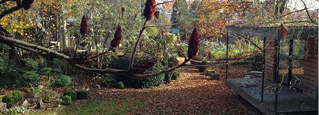 L'agora à travers les saisons : l'automne