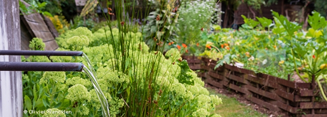 Les fontaines du grand bassin