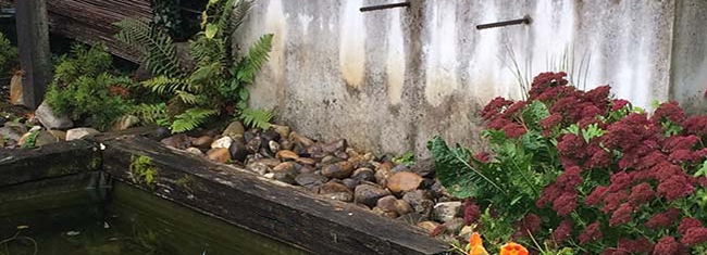 Vue sur les fontaines du grand bassin