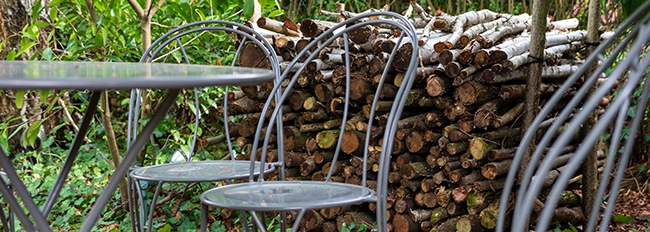 Table et chaises nichées sous une branche du hêtre de l'Agora