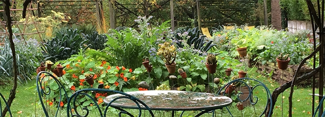 Petite table ronde sous la tonnelle aux roses du potager