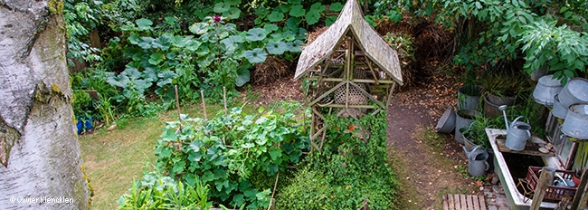 Vue plongeante sur le jardinet et l'aire de compostage envahie par les potimarrons