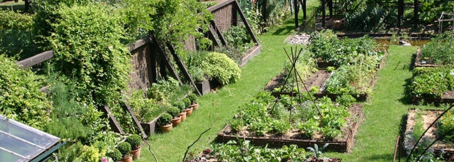 Vue plongeante sur le potager et les jardinières d'aromatiques