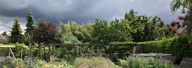 Lire la suite à propos de l’article Côté jardin