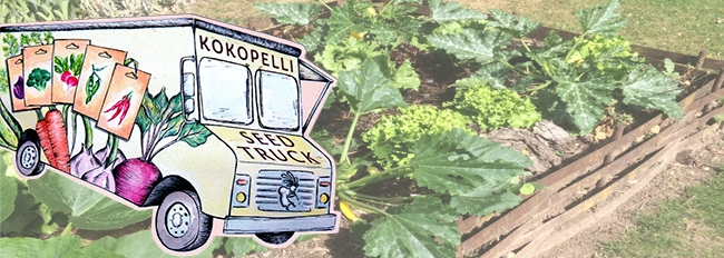 You are currently viewing Côté jardin : visite du seed truck de Kokopelli