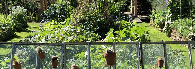 Lire la suite à propos de l’article Dernier week-end de la saison au Jardin et dans la Galerie