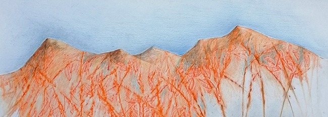 Lire la suite à propos de l’article Côté Galerie : Première exposition de la saison